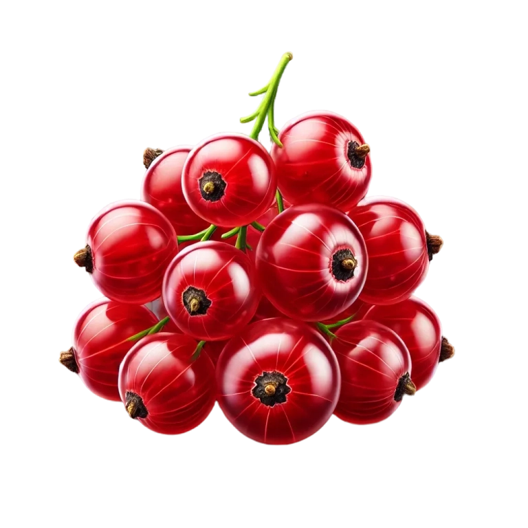 Groseille
