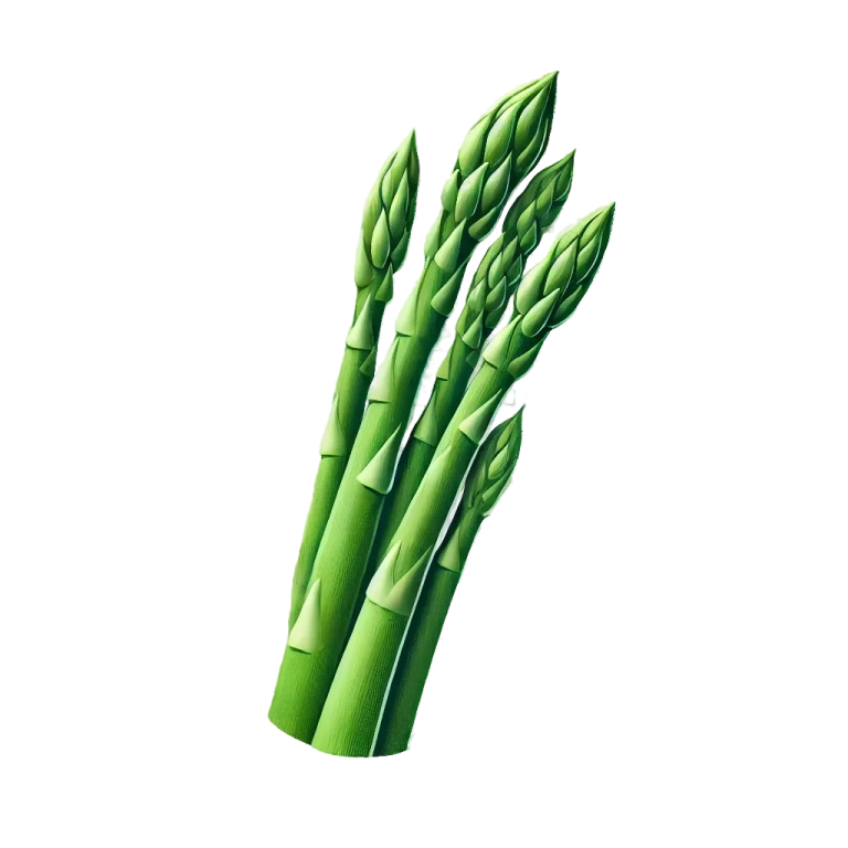 Asperge