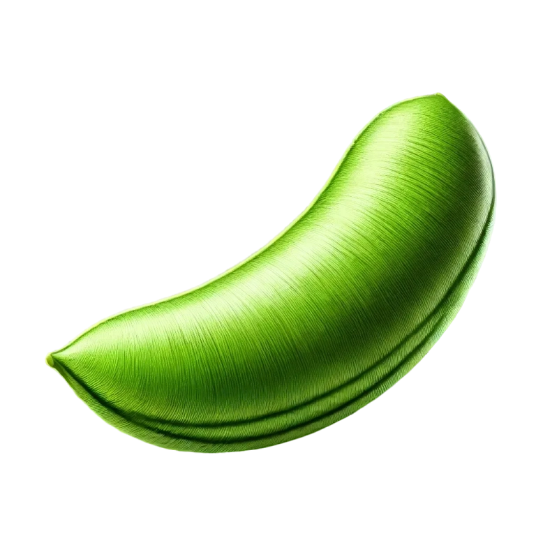 Haricot