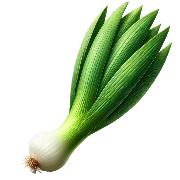 Poireau